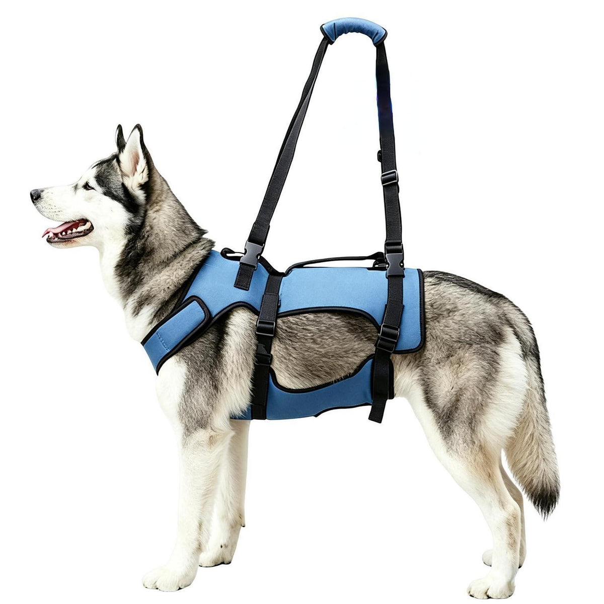 2-in-1 Hundegeschirr Gehhilfe XXL – Für Alte & Gelenkverletzte Hunde