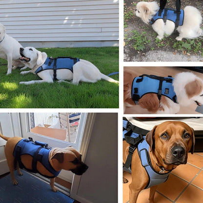 2-in-1 Hundegeschirr Gehhilfe XXL – Für Alte & Gelenkverletzte Hunde
