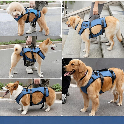 2-in-1 Hundegeschirr Gehhilfe XXL – Für Alte & Gelenkverletzte Hunde