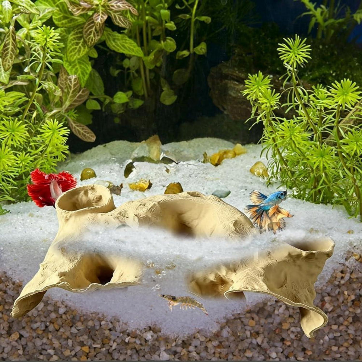 Aquarium Höhle Unterirdisch – Versteck für Garnelen & Nano-Fische