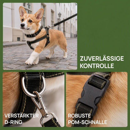 Ausbruchsicher Hundegeschirr Verstellbar – Komfort & Sicherheit