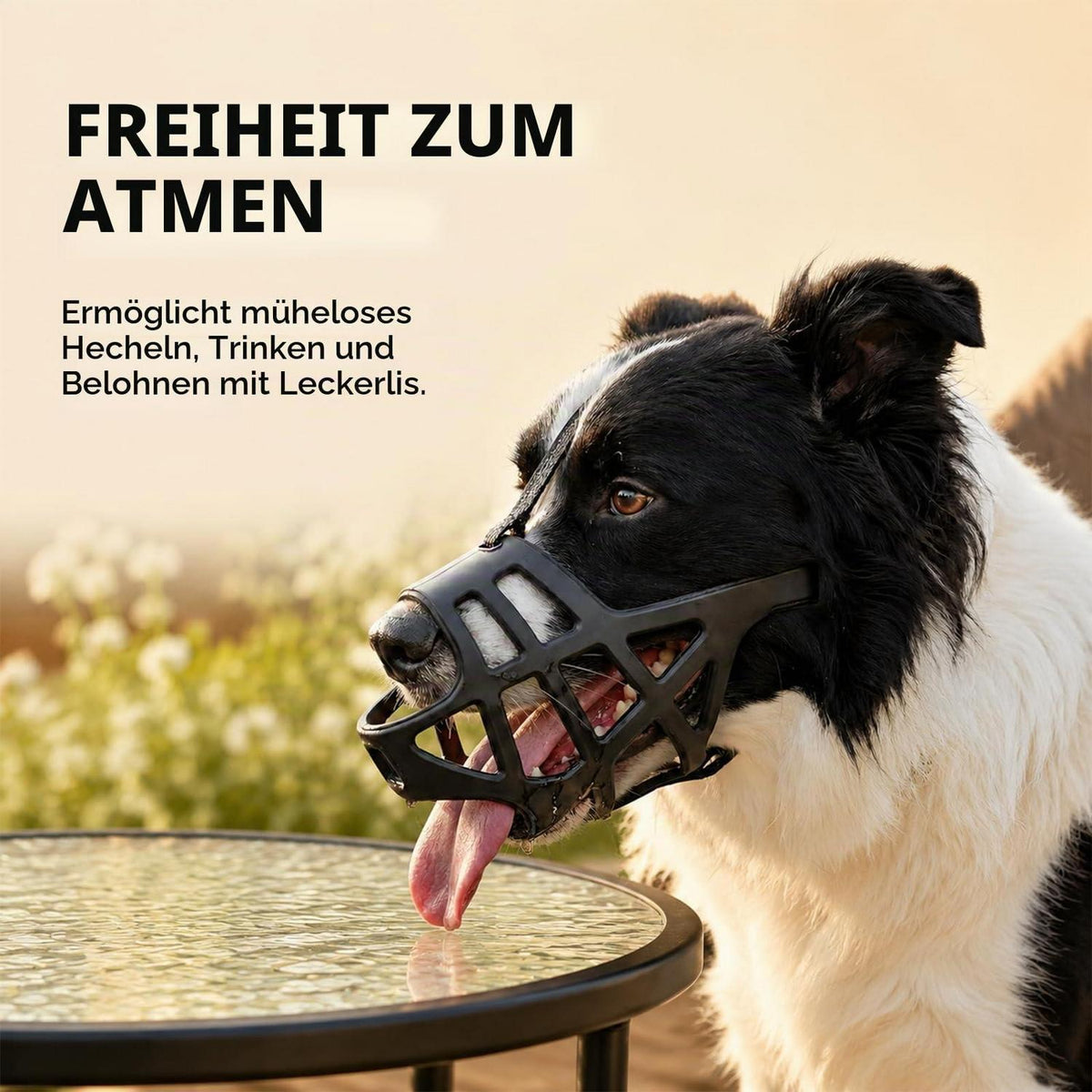 Hundemaulkorb Basket Verstellbar – Sicher & Bequem 25-40 kg