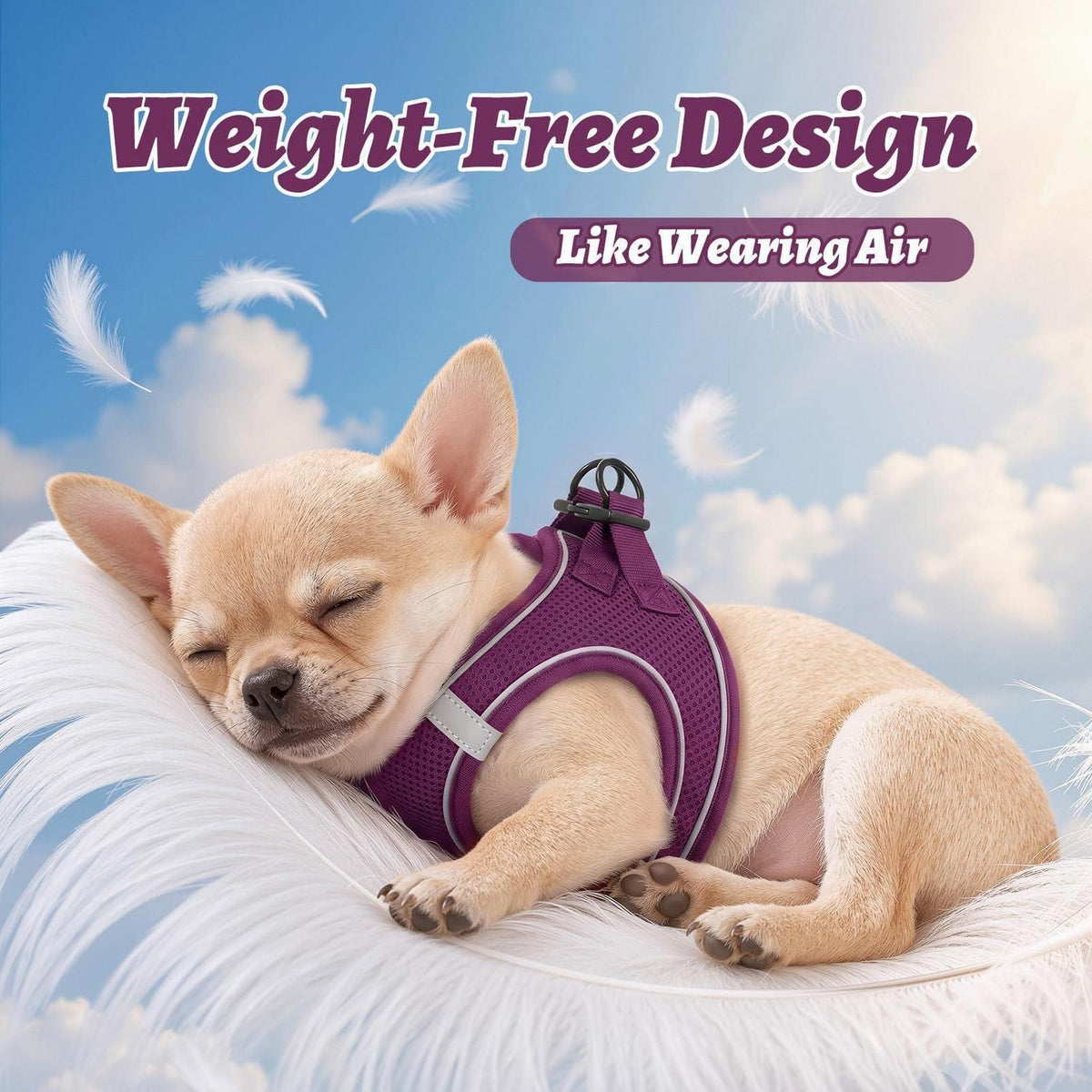 Hundegeschirr weich Mesh Lila – XS bis L